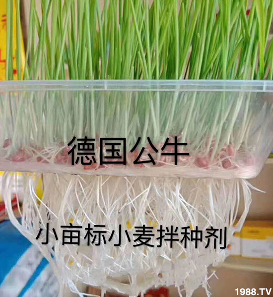 С����N�����a(ch��n)��С����N������x����С����N��Ʒ���x����