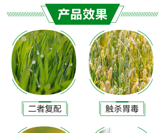 5%ʭ����-��-���A����_03