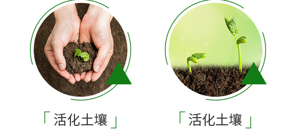 ��̦���h-��٤�z_05