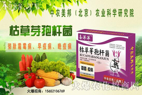 �ݲ�ѿ�ߗU���θ���������������Щ�������������Ό�������Щ��