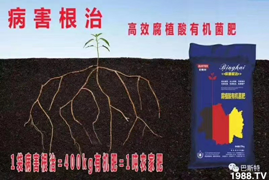     ���׌�Nֲ׃�ø��p�ɣ�һ��(g��)�ײ���ȫ���䷽����˹�ش󽪠I(y��ng)�B(y��ng)�ײͷ�����