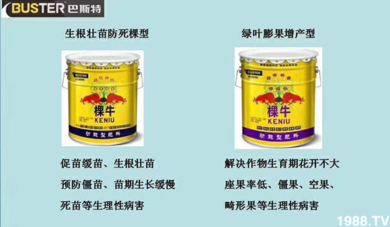     ���׌�Nֲ׃�ø��p�ɣ�һ��(g��)�ײ���ȫ���䷽����˹�ش󽪠I(y��ng)�B(y��ng)�ײͷ�����