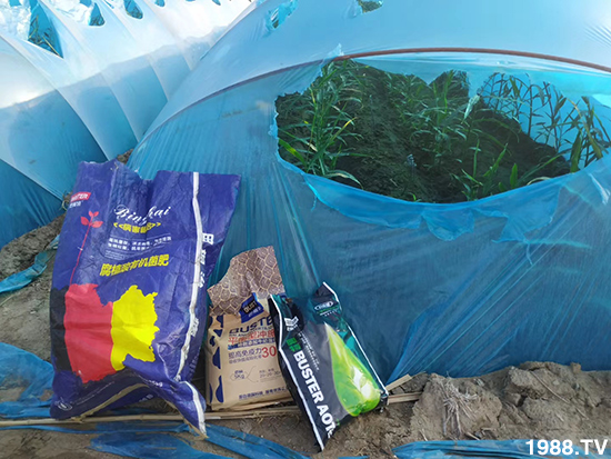     ���׌�Nֲ׃�ø��p����һ��(g��)�ײ���ȫ���䷽����˹�ش󽪠I(y��ng)�B(y��ng)�ײͷ�����