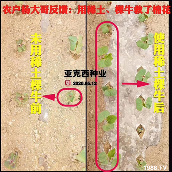     ���׌�Nֲ׃�ø��p�ɣ�һ��(g��)�ײ���ȫ���䷽����˹�ش󽪠I(y��ng)�B(y��ng)�ײͷ�����