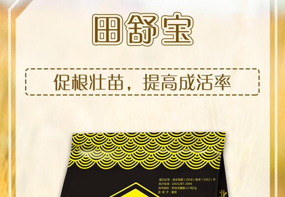 ̼�ܾ�ĸ-���挚-������_01