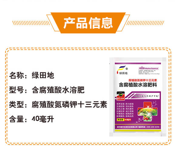 ��ֳ�ᵪ���ʮ��Ԫ�أ�40������-�𿵉�-�G���_02