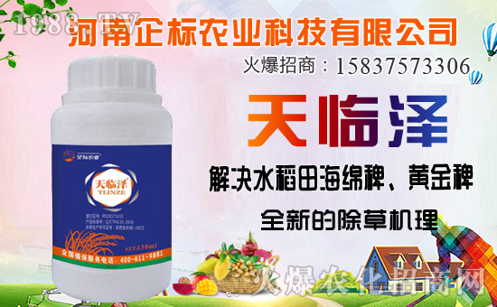 ������������ȷ�������������������݄��Ј�ͻ��20�|��Ԫ