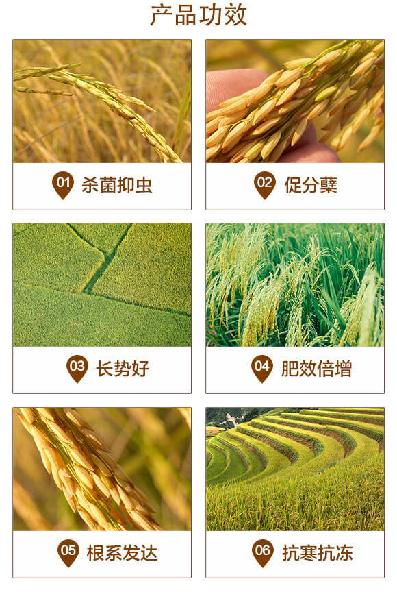 �L(zh��ng)Ч��ጓ������-��+�\ˮ����-�������r(n��ng)_03