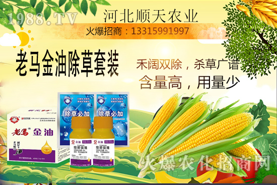 ����������������Ч�������׳����P(gu��n)�I�c��R����