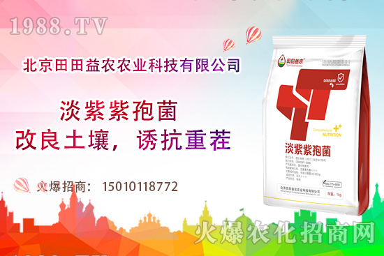 ���t��������c����Щ�����t���ļ���ι�����