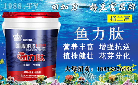 ���䌦�B(y��ng)���������c(di��n)����Щ������ʩ���`�^(q��)�����_ʩ�ʷ�����