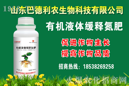 ���������Xһ�����Nֲǰ����Σ����Nֲ�ɱ�������������