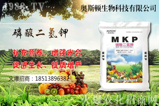 �Ă�Ʒ�N�����Ӹ��ó����҇����Ӯa(ch��n)�ؼ�Ʒ�N����Щ��