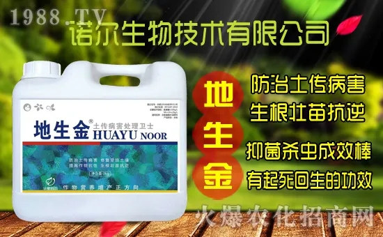 �S���˷N����ô�ɼ����S���˷N��r(ji��)������X(qi��n)һ����