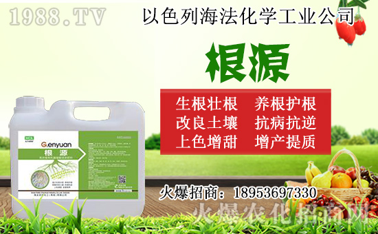 �o(w��)������ôǤ�壿�o(w��)����Ǥ��r(sh��)�g��Ǥ�己ֳ������