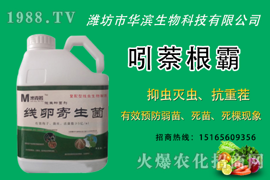 �o�����NֲʲôƷ�N�^�����o����Ƥ���ԳԆ����Nֲǰ�����ӣ�