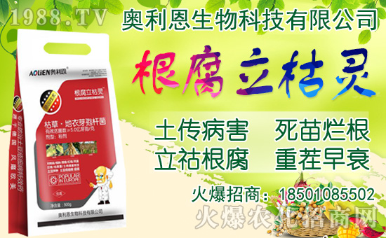 ���[���ʩ�������[�Nֲ���������N�r�g��