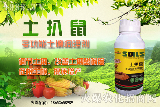 ������ʲô�r(sh��)��Nֲ����������ô�x���Nֲ�����ô����