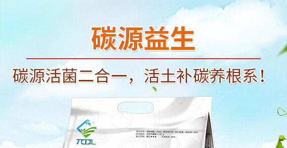 ̼Դ����-���n����_01