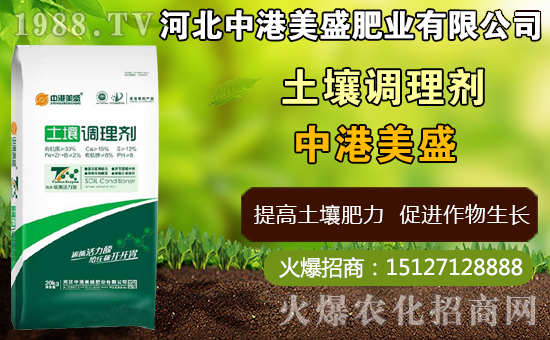 ��ˎ̫�Ӆ�ʲô�r�g�Nֲ��̫�Ӆ�ʲô�r���ի@���ã����Nֲ���g��