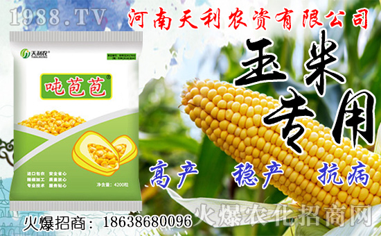 �N�˅������ג겻���X���Nֲǰ����Σ��˅����N����ô�N��