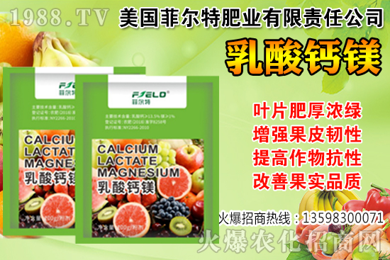 ���Ѳ��պ���α��r�����Ѳ��պ���@ע�����(xi��ng)��