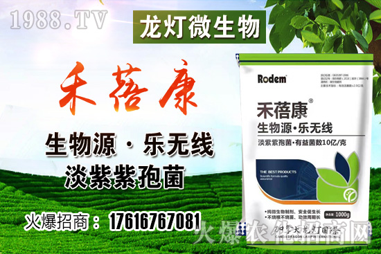 ���t���ڷ۷����������t��¶��ʹ���Nֲ�кβ�ͬ��