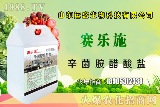 �����Ә���ڷ۷����������Ә���ζ�������