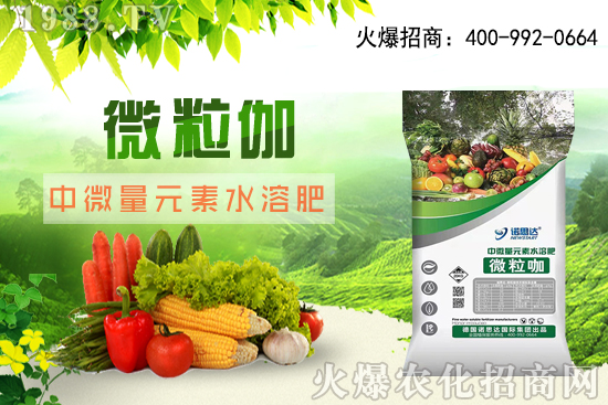 ����ԓ��ô��������������r(sh��)�g������ע��Ҫ�c(di��n)��