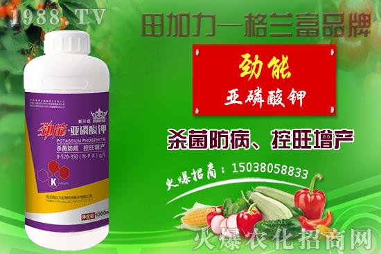 �޻������������ʩ�ʣ��޻�������Լ�ʩ��ԭ�t��