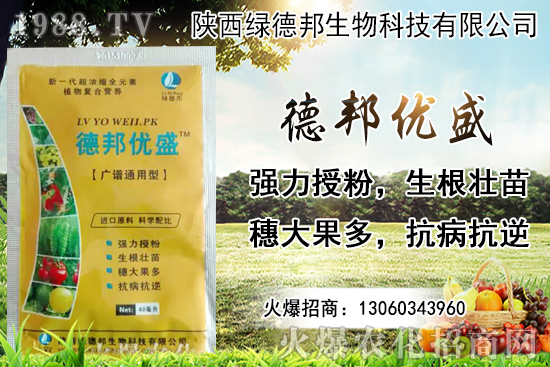 �����r(ji��)������Xһ������Nֲ�ĭh(hu��n)�������x������