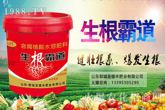 ������Nֲ����(ji��)��ʲô�r(sh��)����������Nֲ��������Щ��