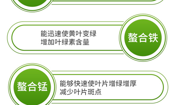 ����ʮ��Ԫ��-�����-Ӣ����_08