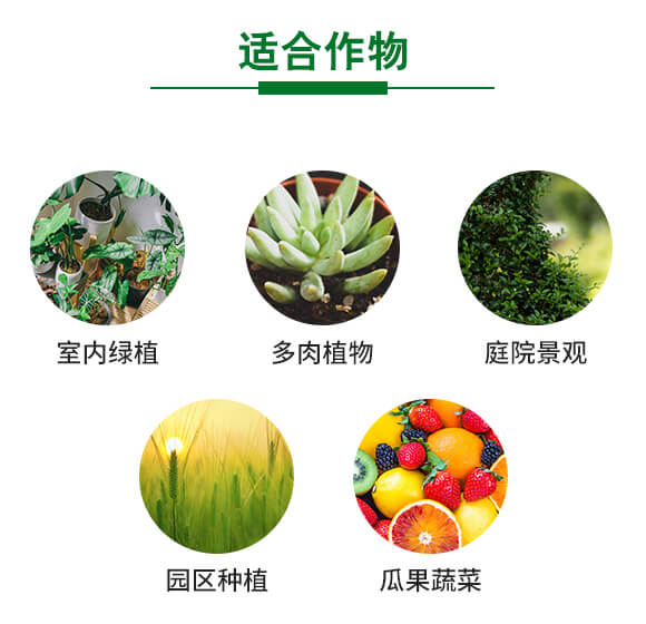 400g��������-Ӣ����_10