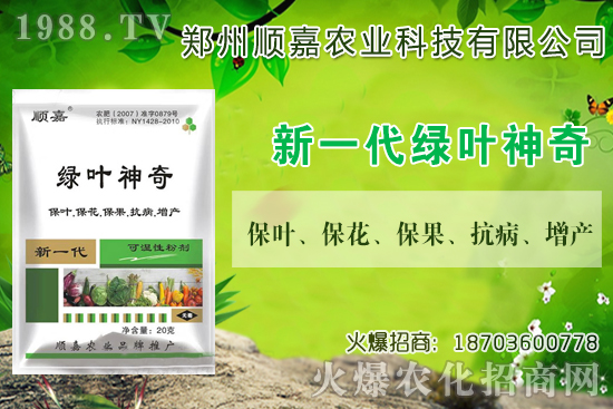 С���r���B�B�ϝq���F(xi��n)��һ������X��