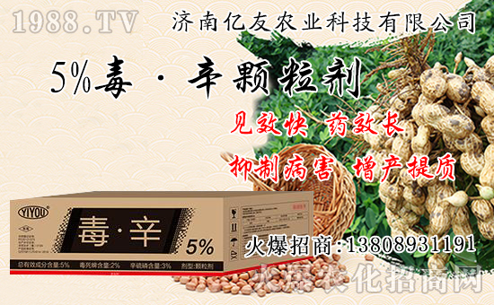 �������Ժʹ�����ʲô��ͬ���������԰˴��P(gu��n)�IҪ�c(di��n)��