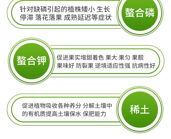 ����ʮ��Ԫ��-�����-Ӣ����_12