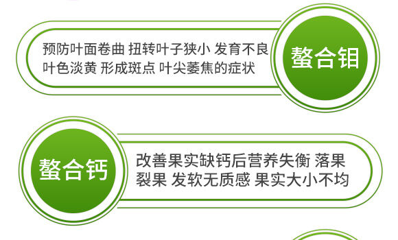 ����ʮ��Ԫ��-�����-Ӣ����_10