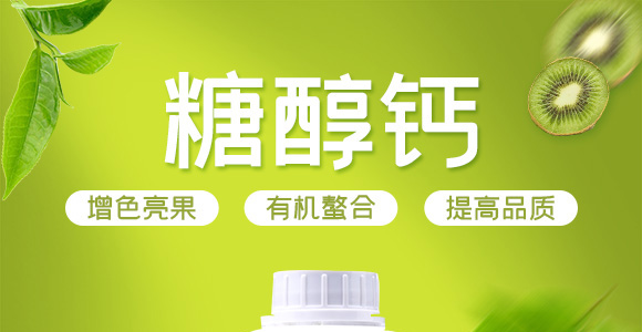 �Ǵ��}-Ӣ����_01