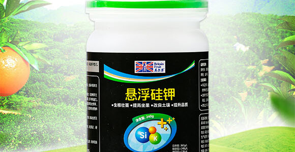 240g�Ҹ����-Ӣ����_02