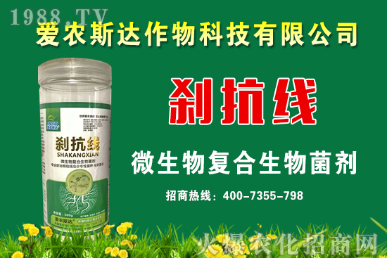 ���ռZ�r(ji��)��2020��9��11��С���r(ji��)�������A(y��)�y��