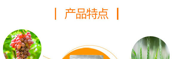 ���x����΢�������-��˾��-Ӣ����_04