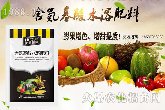 �|���m����ʲô����(ji��)�������|������M(j��n)�зNֲ��