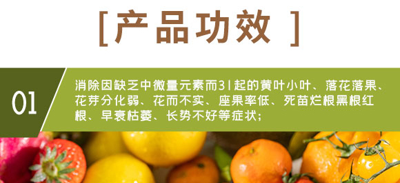 �}�V�\���F-Ӣ����_05