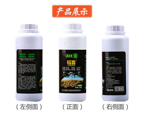 �w������-��ϲ-Ӣ����_07