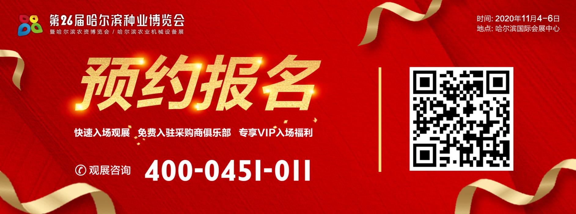 �����I�N����