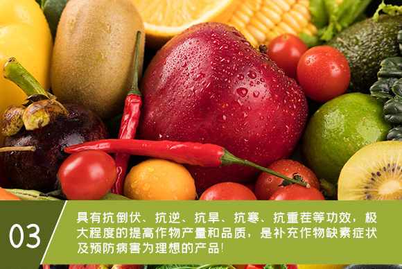 �}�V�\���F-Ӣ����_07