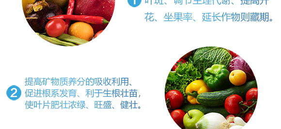 �������}-Ӣ����_07