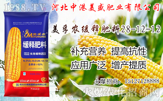 �O���������������ô�������O�������ڼ���ժ�������