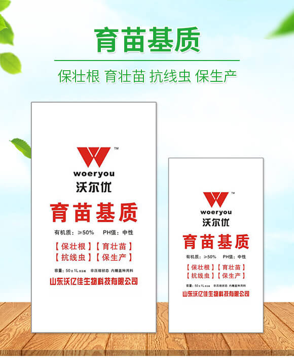 ������|(zh��)-�֠���(y��u)_01